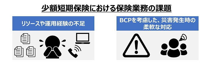 少額短期保険における保険業務の課題