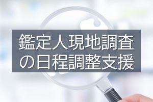 損害保険登録鑑定人の現地調査の日程調整をサポート